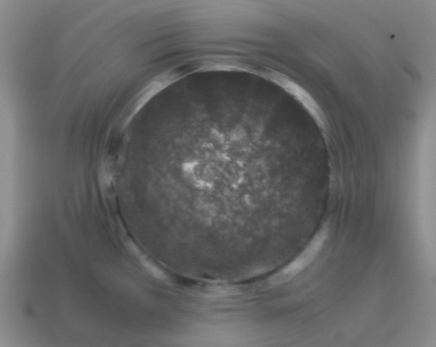 X0000113561385200910161447