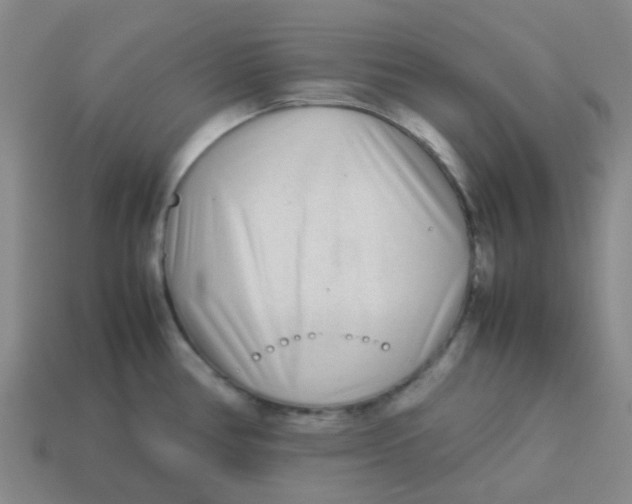 X0000113561386200910161447