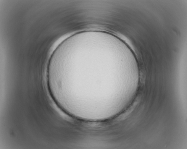 X0000113561387200910161447