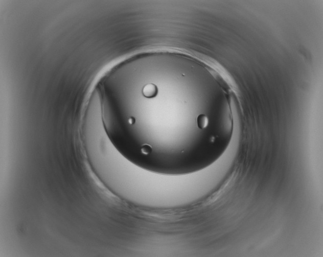 X0000113561388200910161447