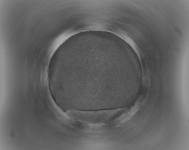 X0000113561389200910161447