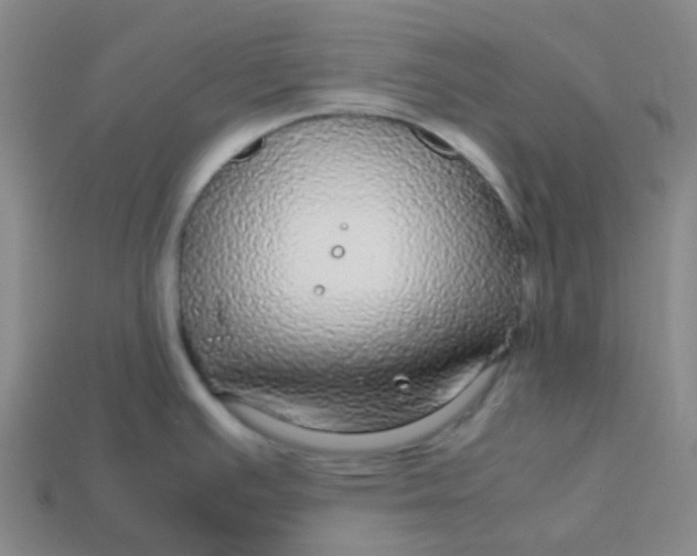 X0000113561391200910161447