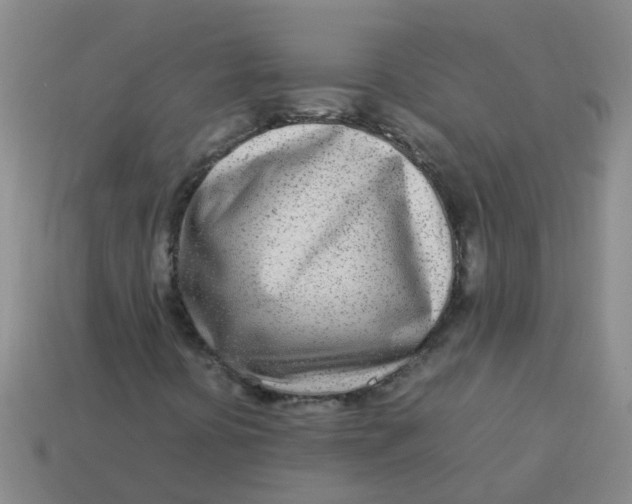 X0000113561394200910161446