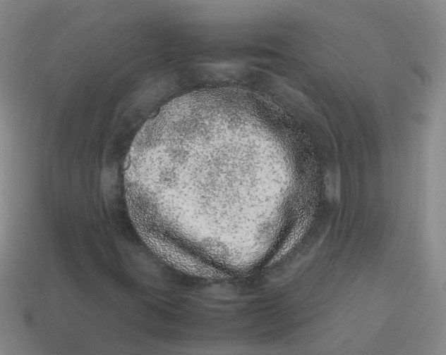 X0000113561395200910161446