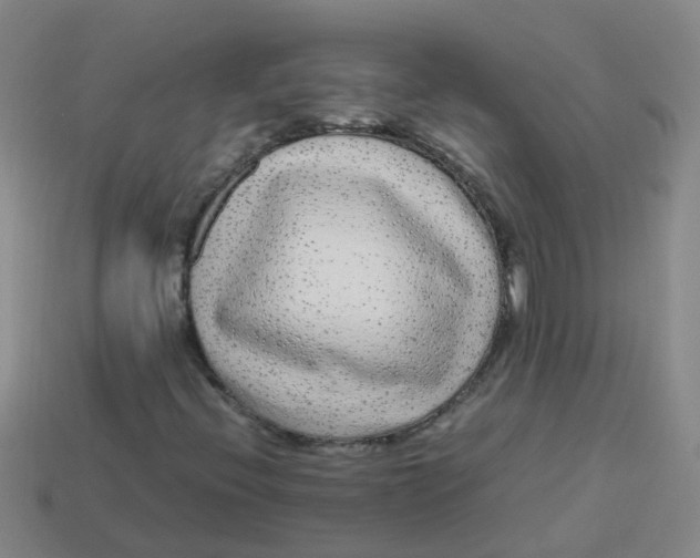 X0000113561396200910161446