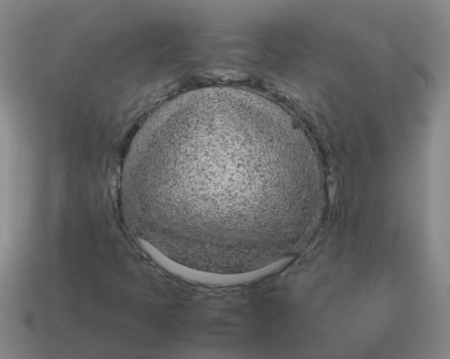 X0000113561397200910161446