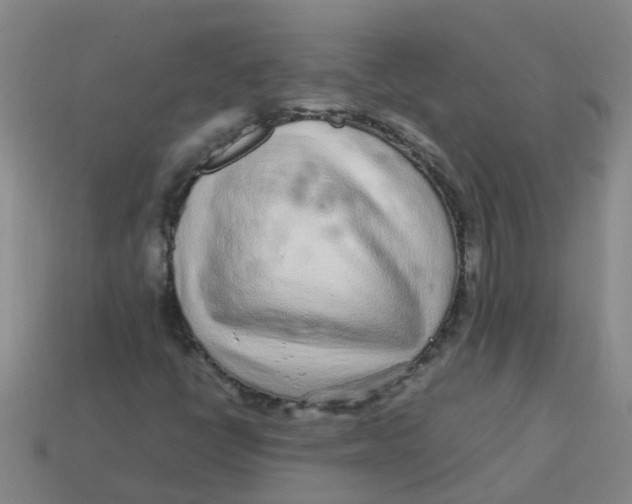 X0000113561398200910161446