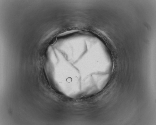 X0000113561399200910161446