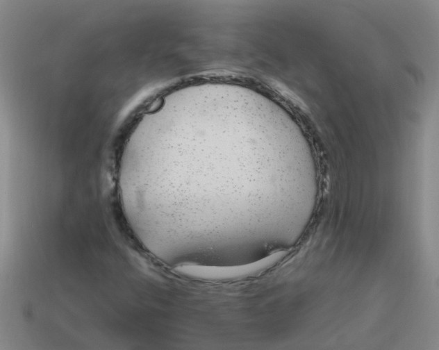 X0000113561400200910161446