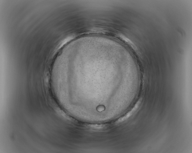 X0000113561401200910161446