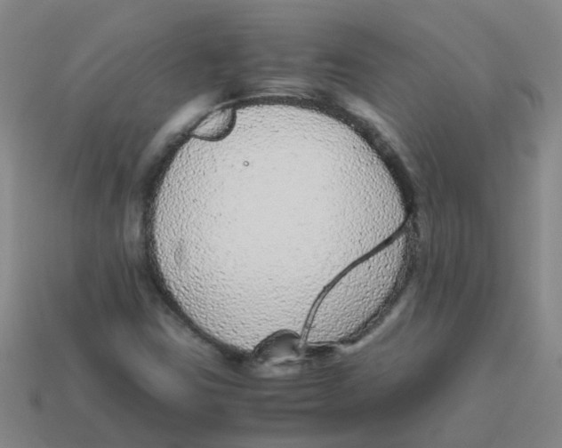 X0000113561403200910161446