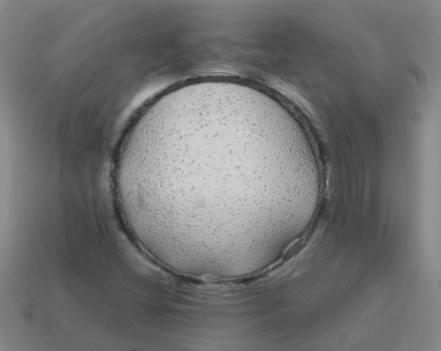 X0000113561404200910161446