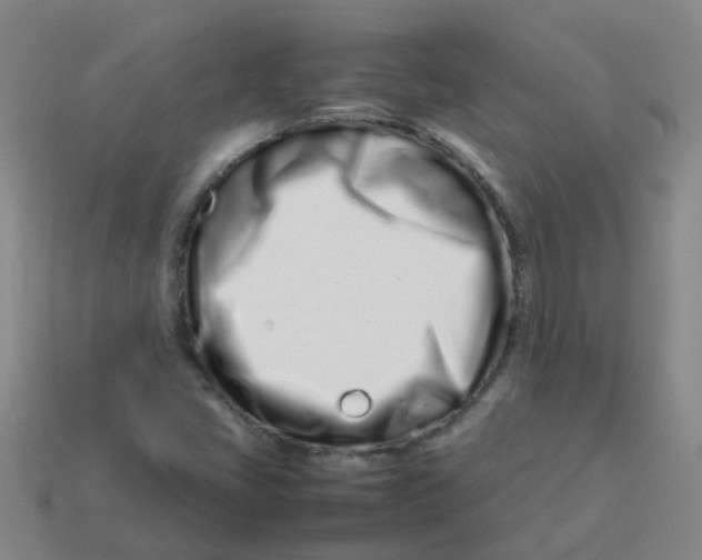 X0000113561405200910161446