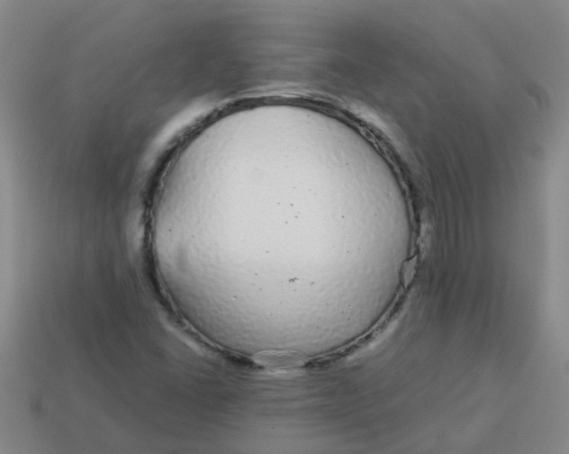 X0000113561406200910161446
