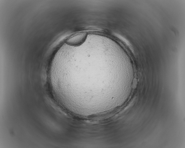 X0000113561407200910161446