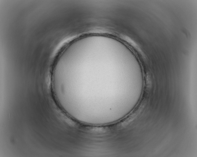 X0000113561408200910161446