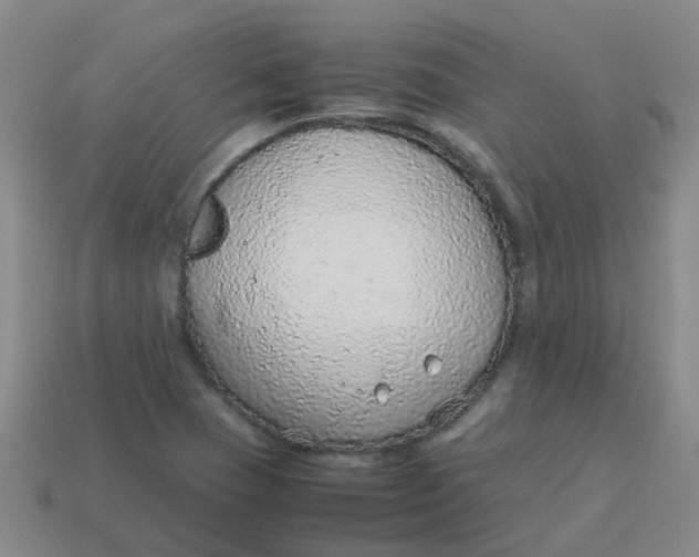 X0000113561409200910161446