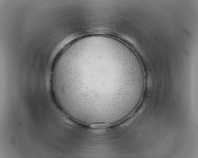 X0000113561410200910161446
