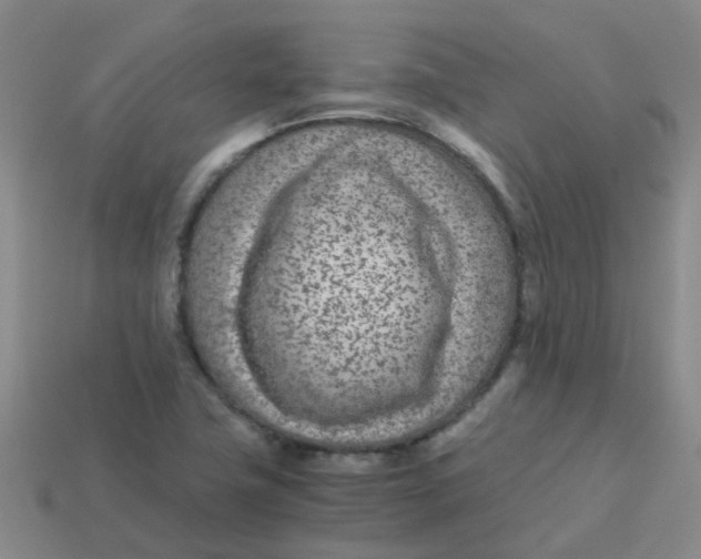 X0000113561411200910161446