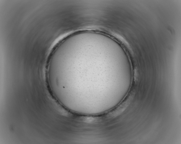 X0000113561412200910161446