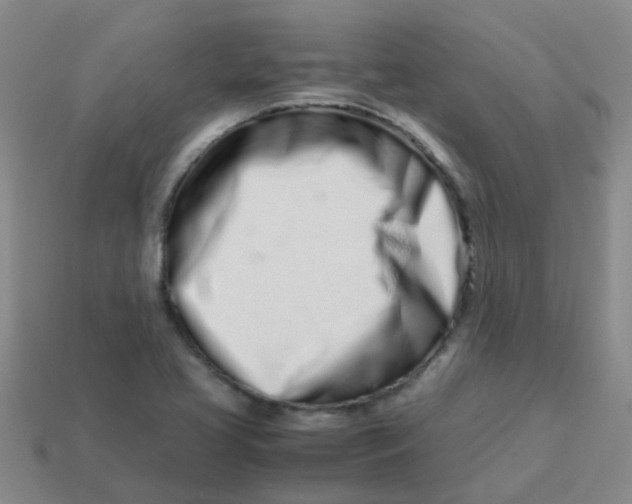 X0000113561413200910161446