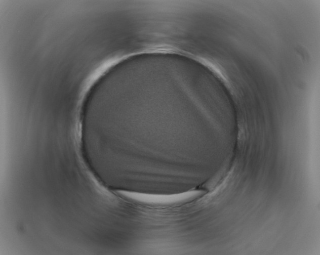 X0000113561414200910161446