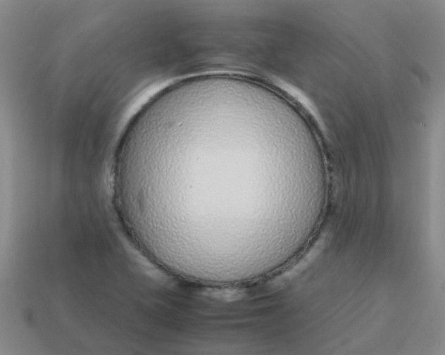 X0000113561415200910161446