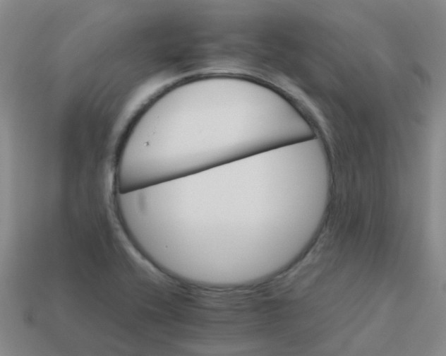 X0000113561416200910161446