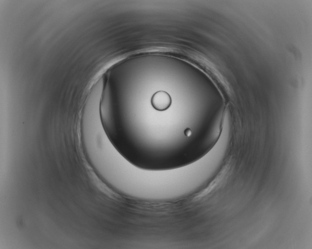 X0000113561417200910161446