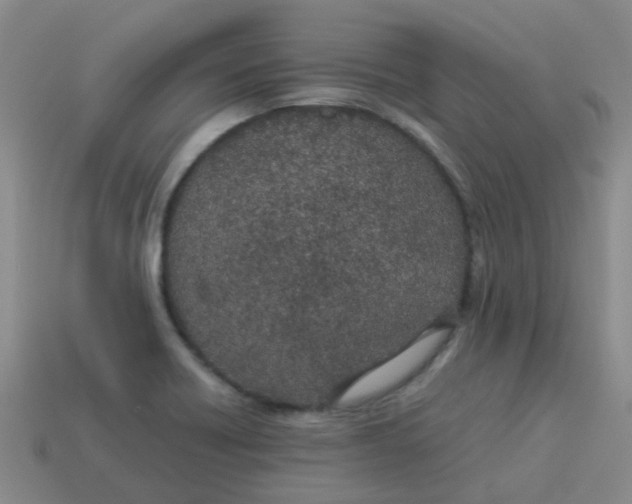 X0000113561418200910161446