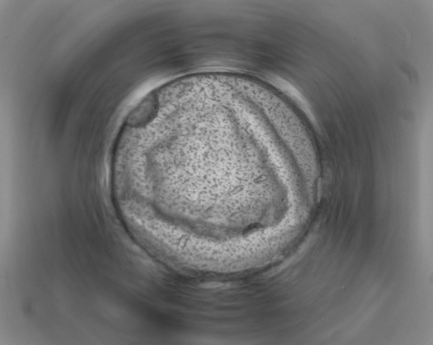 X0000113561419200910161446