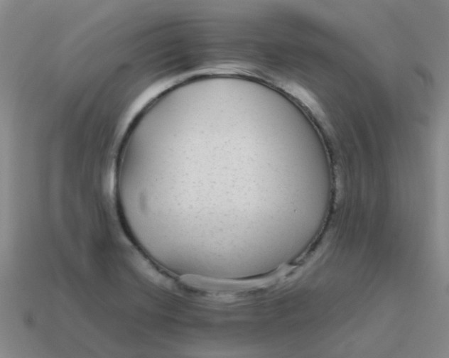 X0000113561420200910161446