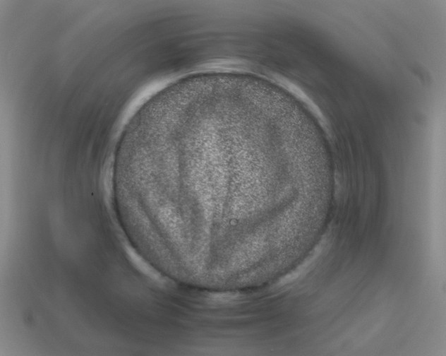 X0000113561421200910161446