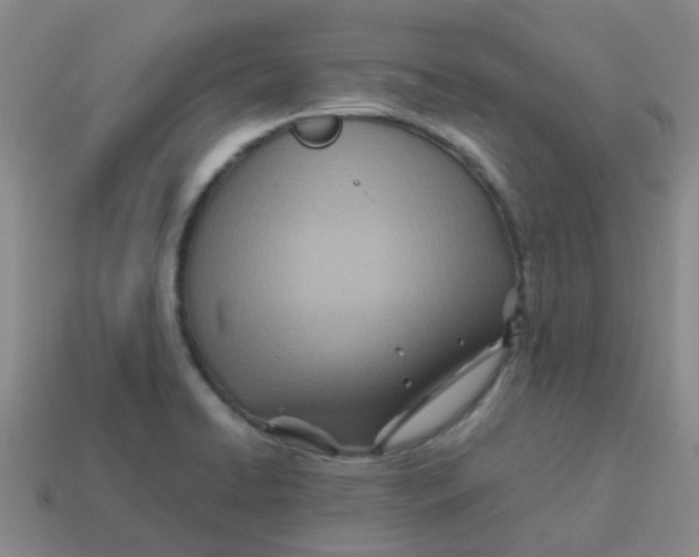 X0000113561422200910161446