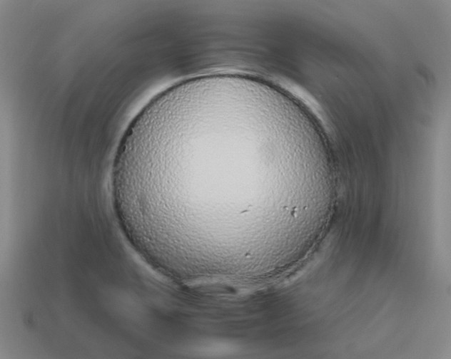 X0000113561423200910161446