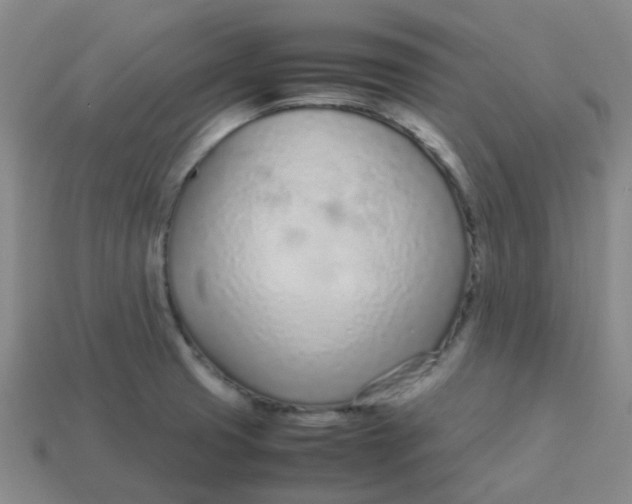 X0000113561425200910161446
