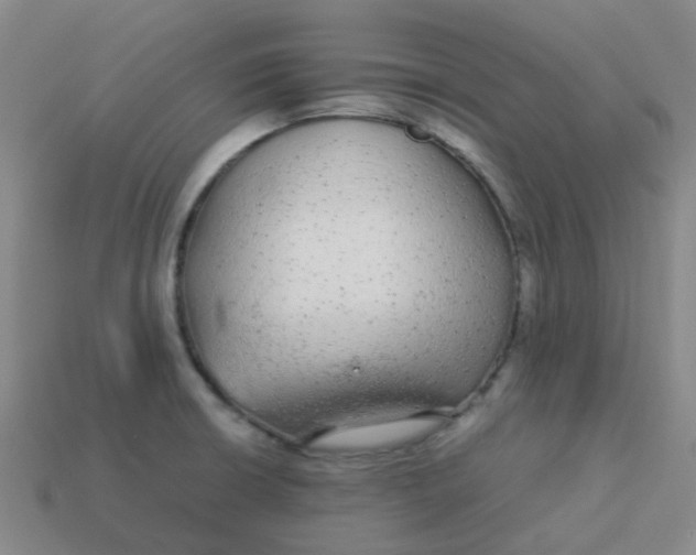 X0000113561426200910161446