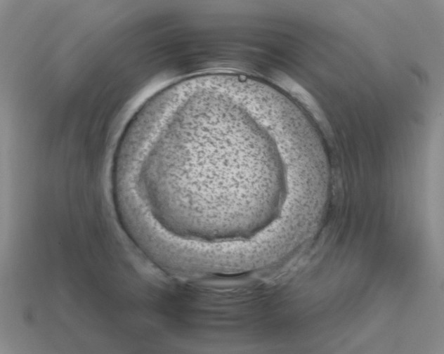 X0000113561427200910161446