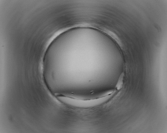 X0000113561428200910161446