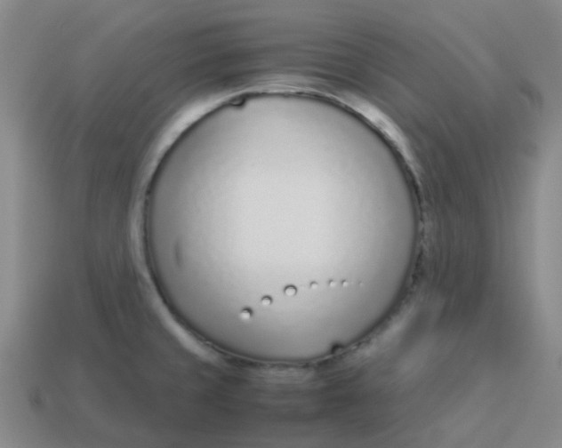 X0000113561429200910161446