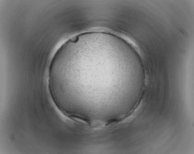 X0000113561430200910161446