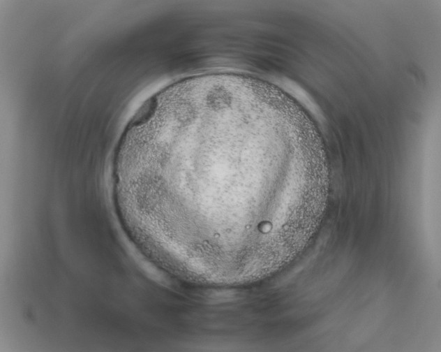 X0000113561431200910161446
