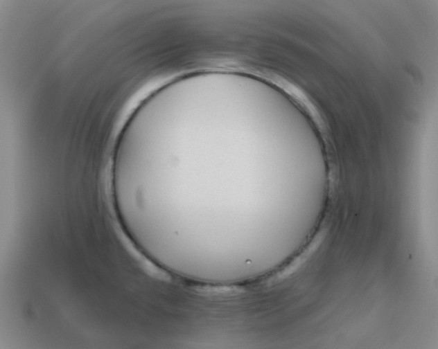 X0000113561432200910161446