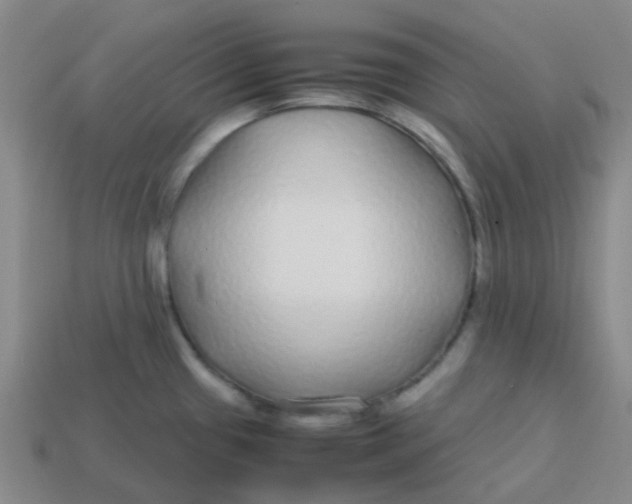 X0000113561433200910161446