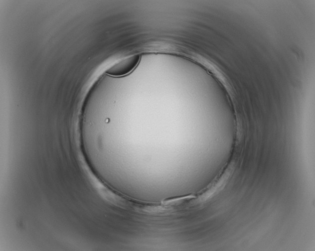 X0000113561434200910161446
