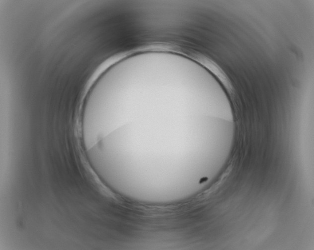 X0000113561436200910161446