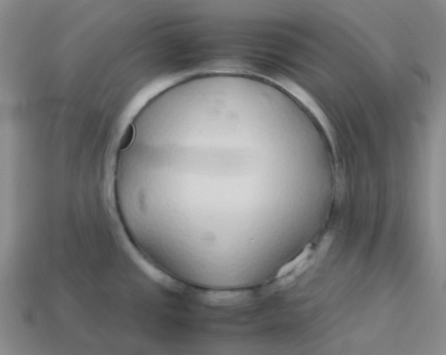 X0000113561437200910161446