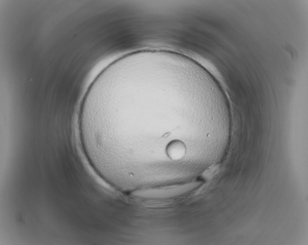X0000113561440200910161446