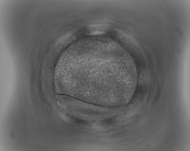 X0000113561441200910161446