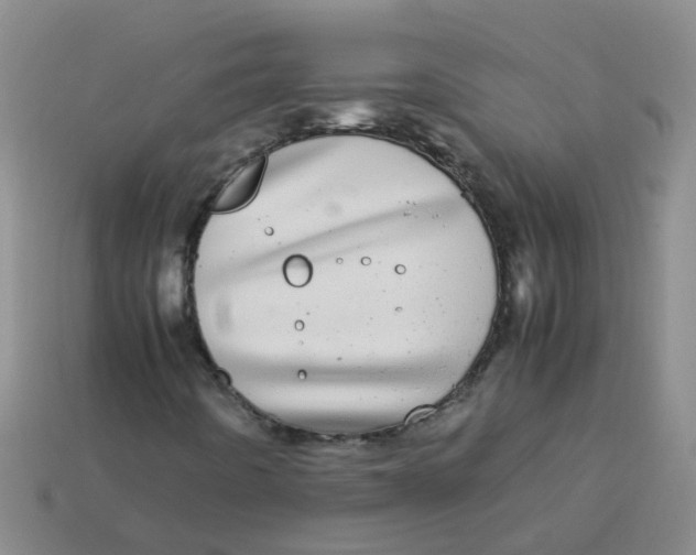 X0000113561442200910161446